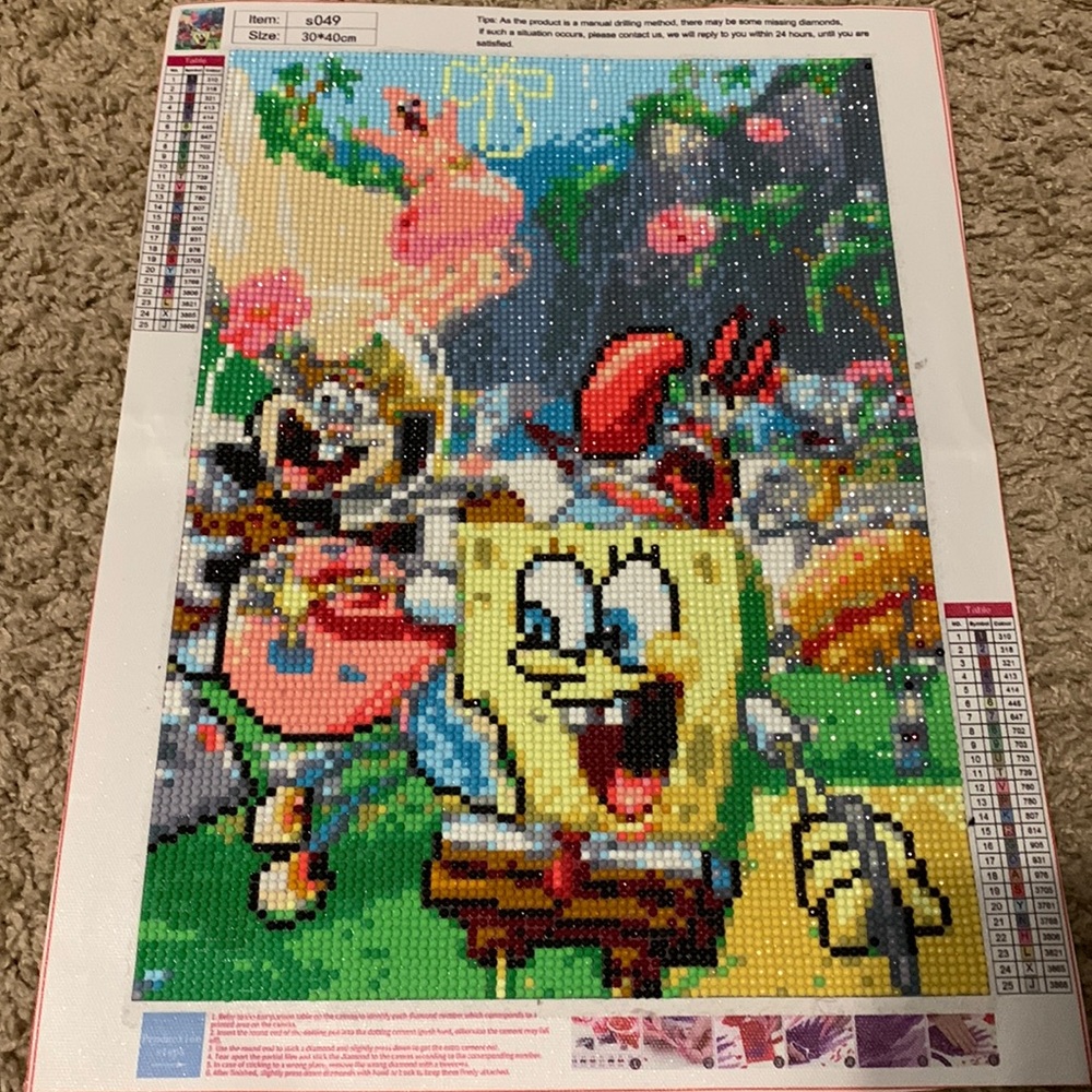 Diamond Art Painting w/o frame